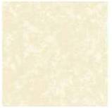Neno Vitrified Tiles