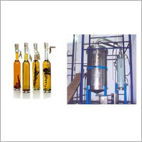 Spices Oil Oleoresin