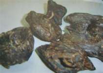 Agarwood/Oud wood