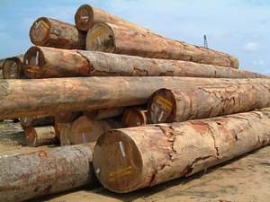 Wood