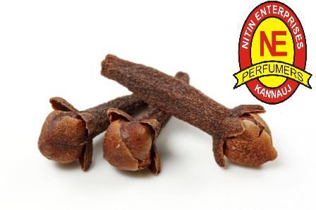 CLOVE OIL