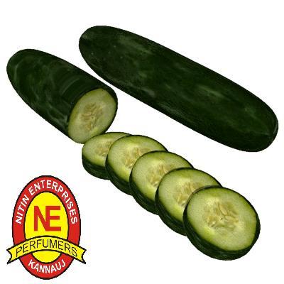 CUCUMBER OIL
