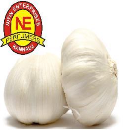 GARLIC OIL