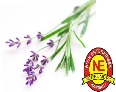 LAVENDER OIL