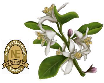 NEROLI OIL