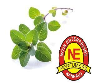 OREGANO OIL