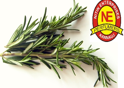 ROSEMARY OIL