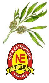 TEA TREE OIL