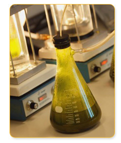 Active Pharmaceutical Ingredients
