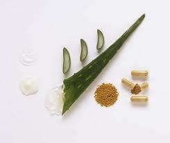 Aloe Vera Capsules - 500mg Herbal Supplement, Vegetable Cellulose, Green | Supports Women's Health, Natural, Skin Friendly, 60 Capsules