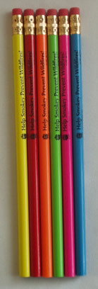 Designer Wooden Pencils