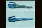 POLY SACRAL SCREW