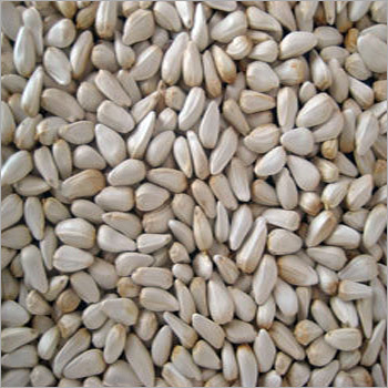 Safflower Seeds Kernels