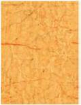 Ceramic Glaze Wall Tiles