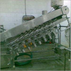 Domestic Shrimp Grading Machine