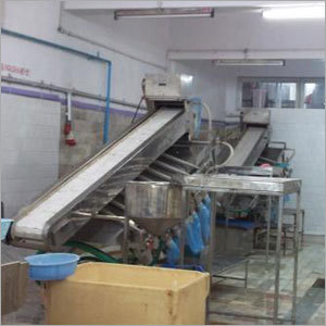 Automatic Shrimp S Grading Machine