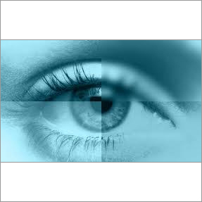 Monthly Disposable Contact lenses