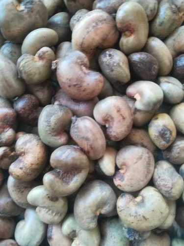 Raw Cashew Nuts