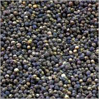 Black Pepper