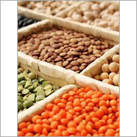 Indian Pulses