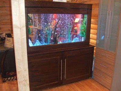 Bedroom Aquarium