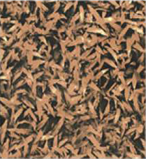 Brown Leaves 400x400