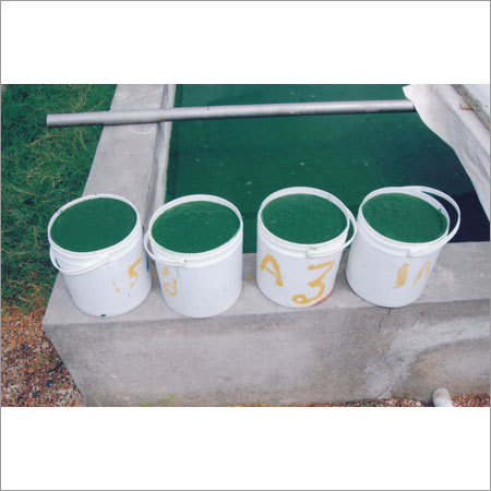 Spirulina Liquid Format
