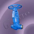 Globle Valve