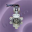 Butterfly Valve