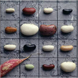 Pulses