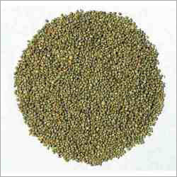 Bajra