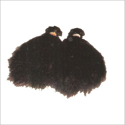 Curly black Hair