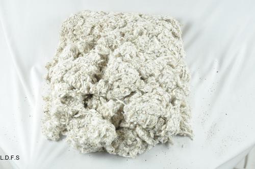 Cotton Flat Strips
