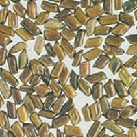 Green Cassia Tora Seed