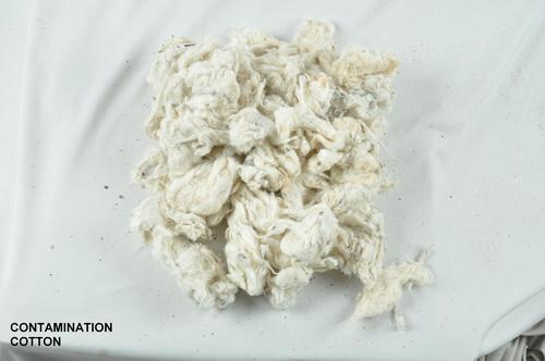 Cotton Contamination