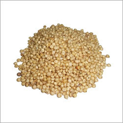 Jowar