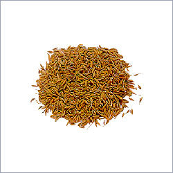 Cumin