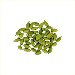 Cardamom