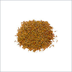 Caraway Seed
