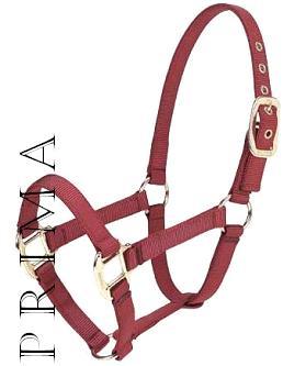 PolyPro HeadCollars