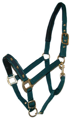 HeadCollar with Horse Motif