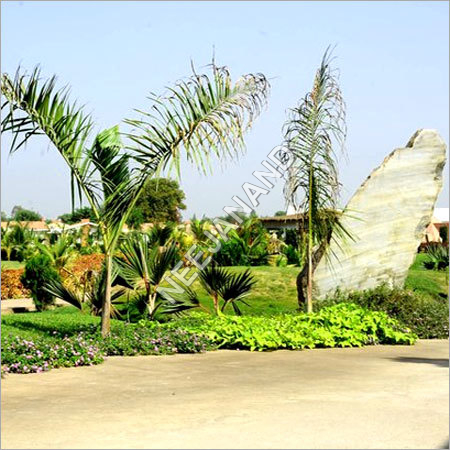 Luxurious Resort