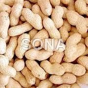 Groundnut Inshell