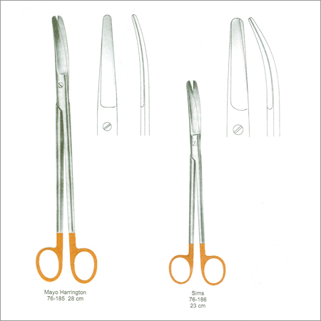 Dental Forceps