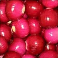 Red Nasik Onion