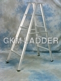 Aluminium Self Support Ladder
