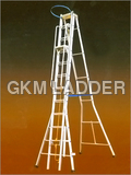 Aluminium Extension Ladder