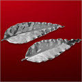 Silver Plated Ashoka Leaf