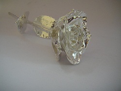 Silver Plated Roses