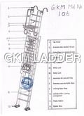 Aluminium Wall Support Extension Ladder